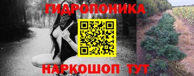 дживик Брянск