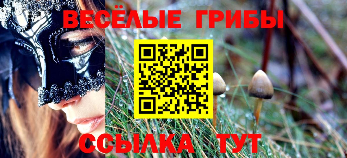 Галлюциногенные грибы Cubensis  Галлюциногенные грибы мухоморы  Вход с VPN  Белореченск 